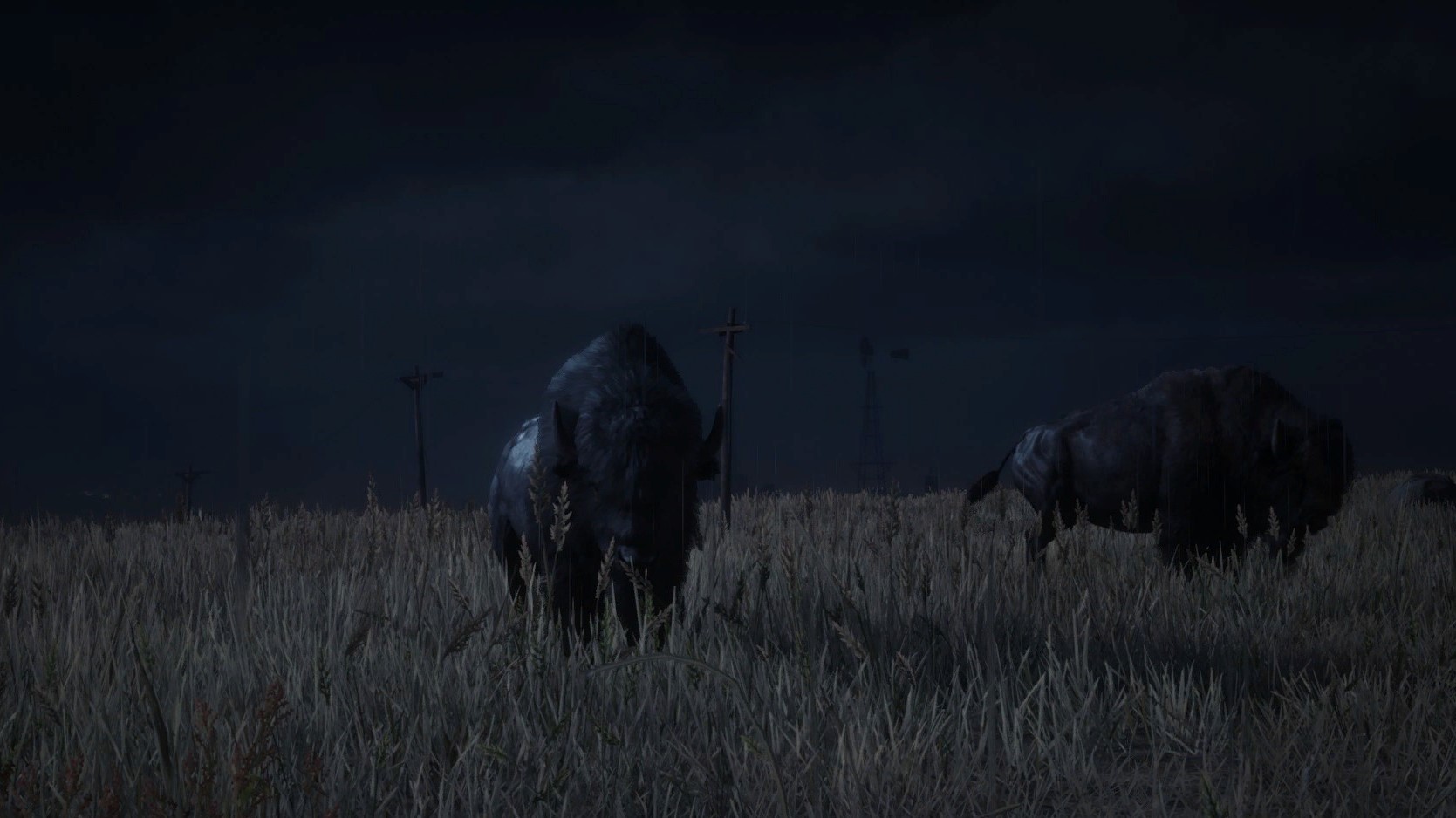 Red Dead Online photo taken with advanced camera. Image of a bison in grass.