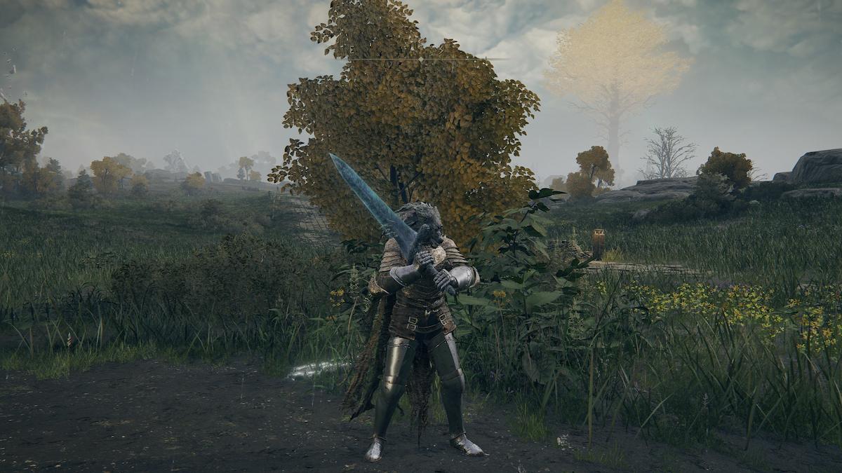 Screenshot of Tarnished from Elden Ring holding the Dark Moon Greatsword