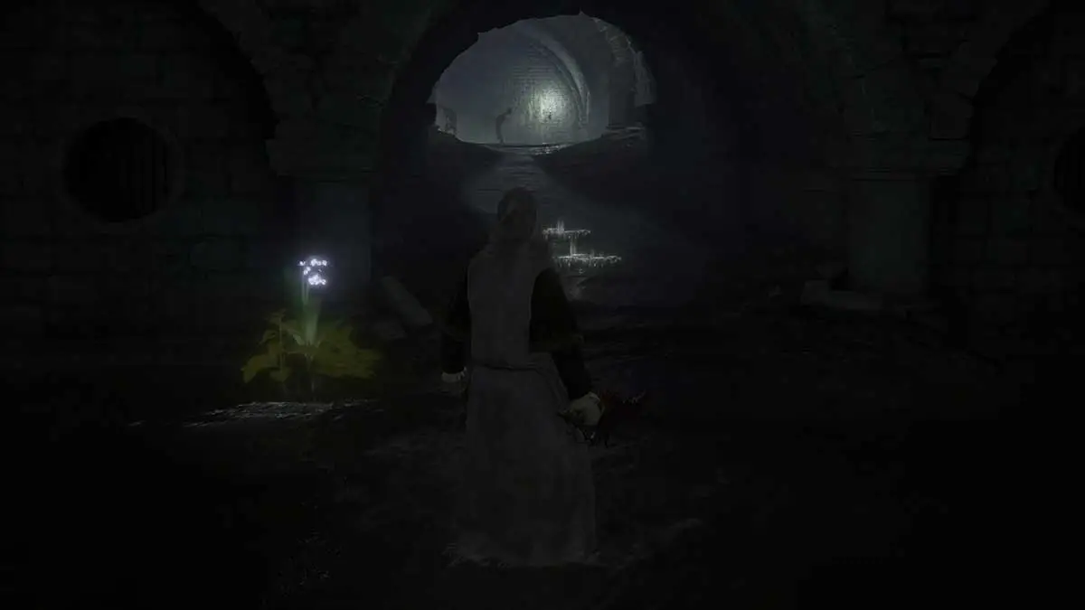 impalers-catacombs-full-walkthrough-in-elden-ring