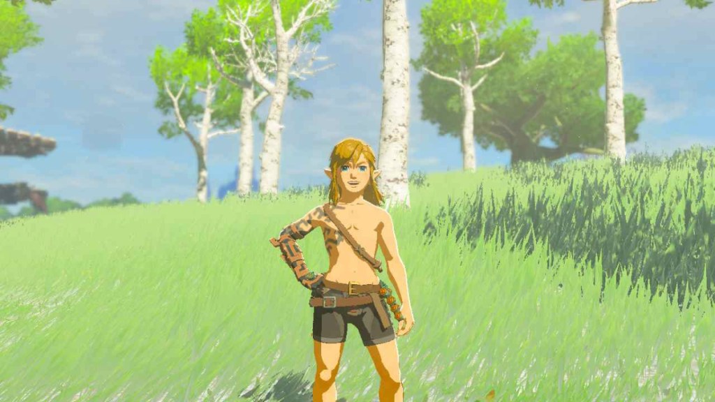 TotK Fan Scandalizes Hyrule NPCs With Naked Link