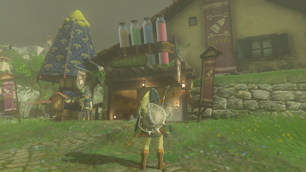 Zelda_Dye_Shop