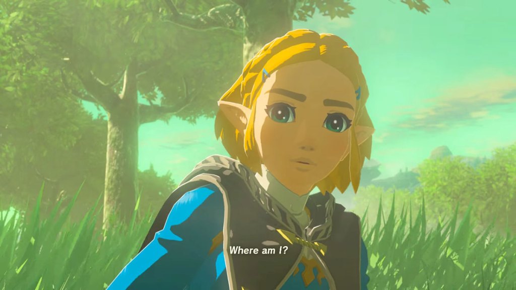 zelda-asking-where-am-i-in-the-legend-of-zelda-tears-of-the-kingdom