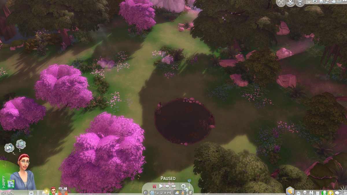 Sylvan Glade Top View Sims 4