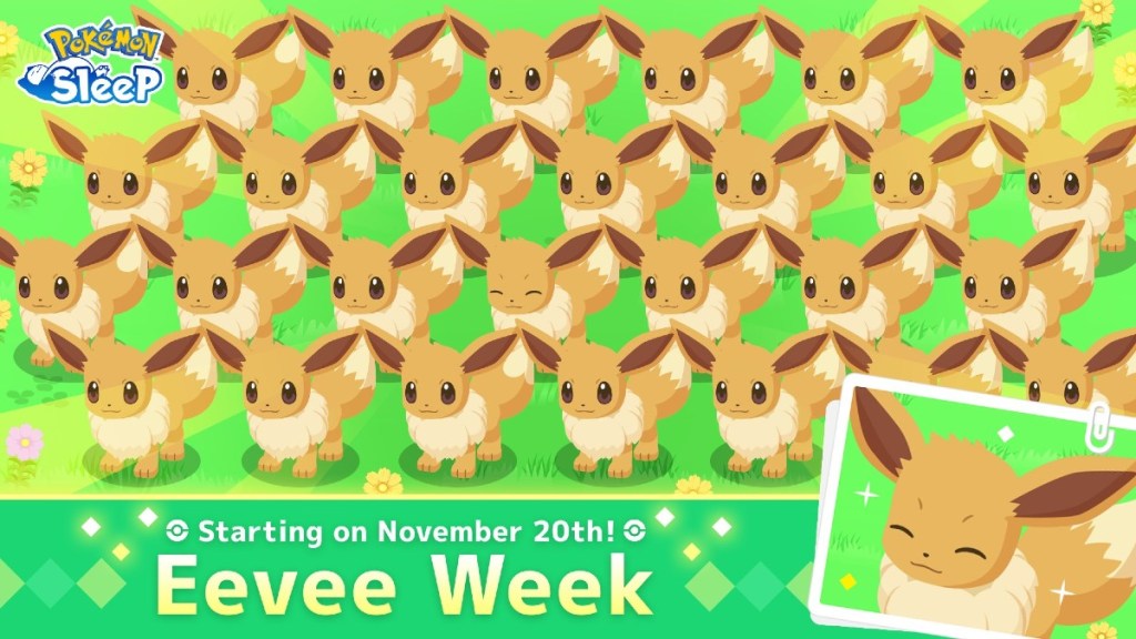 Eevee Week Pokemon Sleep