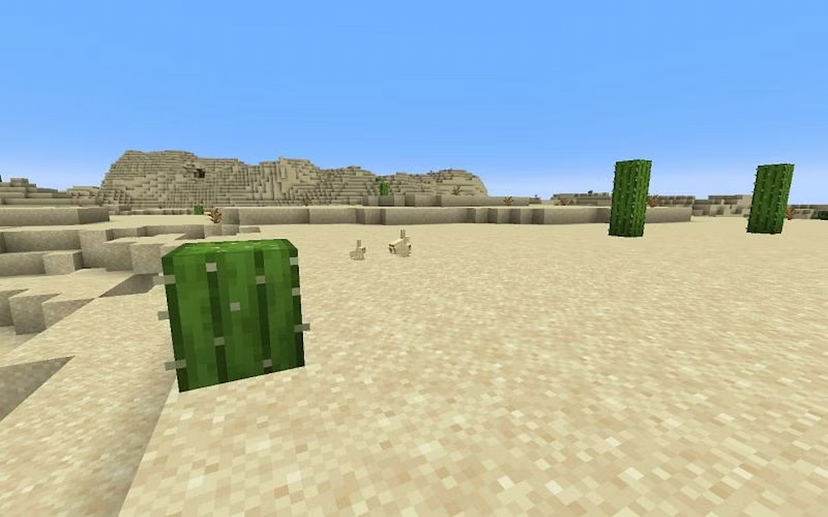 Tortoises in Minecraft