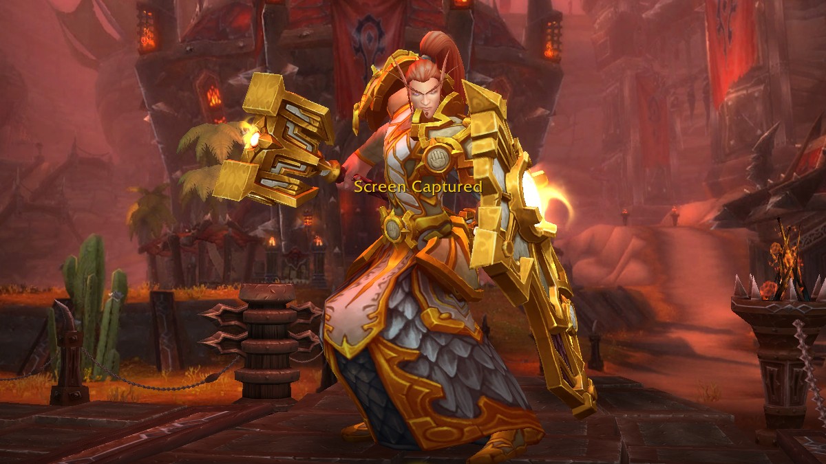 WoW Paladin Class