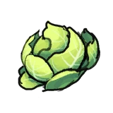 Immortal Life Cabbage